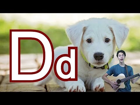 Letter D Song | The Letter of the Day Alphabet Song for Kids - Learn Alphabet Sounds and Phonics