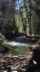 A beautiful day at Robinson creek | Twin Lakes Resort