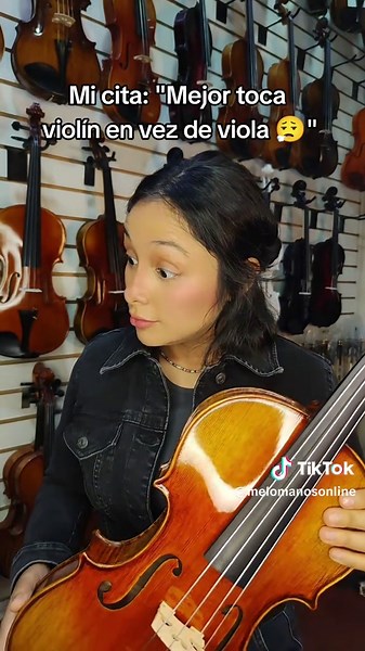Exploring the Differences Between Violin and Viola