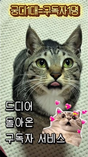 구독자님들 사랑합니댜옹
