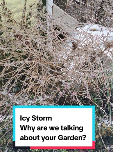 Spring Sprouts Series: Herb Garden Mapping series! Every year I put off planning my garden until it's way too late this year we're going to get ahead of it and we're going to start planning exactly what we need so that we're not second-guessing when it's time to plant them in the ground! #springsprouts #gardenmapping #gardening #herbgarden