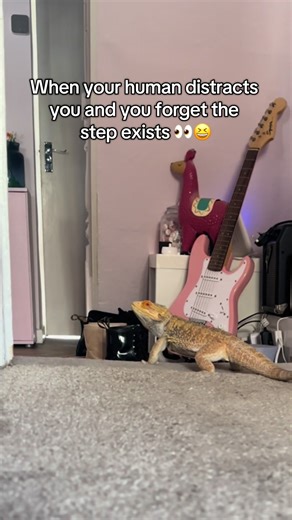 Clumsy Dragon's Hilarious Fail