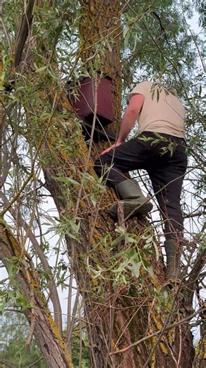 Swarm control: checking the traps