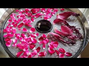 Dehydrating Flower Petals