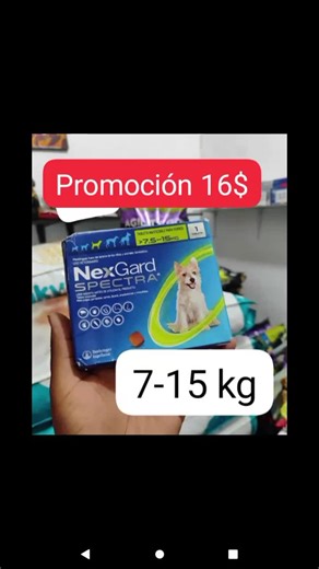 APLICA SOLO EL MES DE DICIEMBRE #PROMODICIEMBRE #garrapatas #NEXGARD #guayaquil #veterinaria