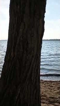 Bass Lake Provincial Park Day Use Area #Beautiful Beach #Awesome Park #Orillia, ON