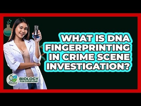 What Is DNA Fingerprinting In Crime Scene Investigation? - Biology For Everyone