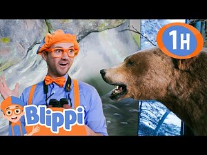 Exploring Nature with Blippi! Finding Animals at M.K. Nature Center | Blippi | Kids TV Shows