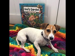 Uno's Garden by Graeme Base read-along Presented by Story-Verse online library