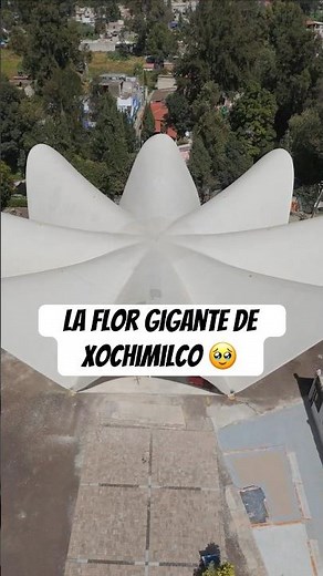 This is the GIANT flower of Xochimilco. 🤯 #travel #curious #architecture