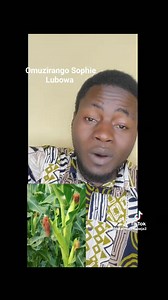 69K views · 3.9K reactions |  Meanwhile #Jajja_Mumalansonga owe #Ntwetwe 0774606345 ne 0702724195 Akwata ababi, Akomyaawo ebibe, Akwata amajini, Atereza empewo z'ekika, Akomyaawo omwagalwawo, Avumula amalogo gonna, Agaba ekyogo kyomukisa, Awanga amayumba na mamotoka | Omuzirango Sophie Lubowa | Facebook