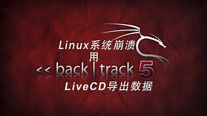 Linux系统崩溃了，怎么导出硬盘数据？—— LiveCD的使用