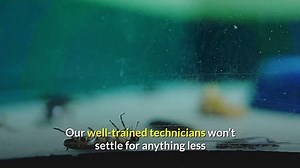 Carlsbad Pest Control Company