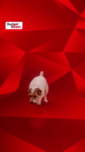 Get 15%^ off your first year's premium when you purchase a new car insurance policy online. | Budget Direct | Facebook