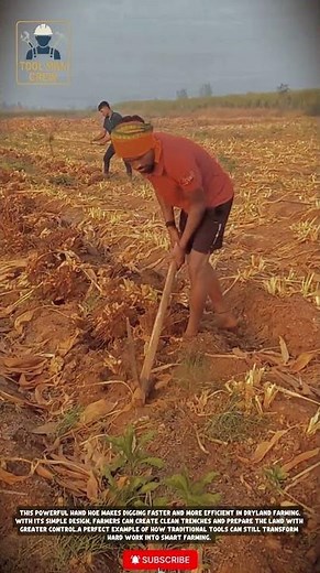Strong & Efficient Manual Hoe Tool for Soil Digging and Field Preparation in Dry Harvested Farmland