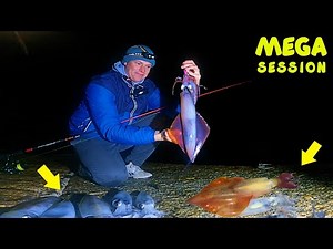 SQUID FISHING Made SIMPLE - BAG UP USING THESE 6 SIMPLE TIPS TO CATCH MORE SQUID - PLENTY of SQUID