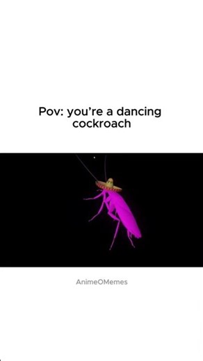 Pov: you’re a dancing cockroach #mixtape