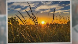 What is a Roof Turbine? | Advantages and Disadvantages of Roof Turbine