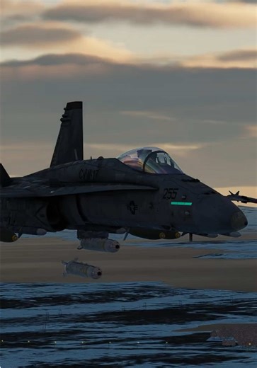 This SA-10 Never Saw It Coming | F/A-18C CBU Strike #dcsworld #warthunder #dcs #flightsimulator