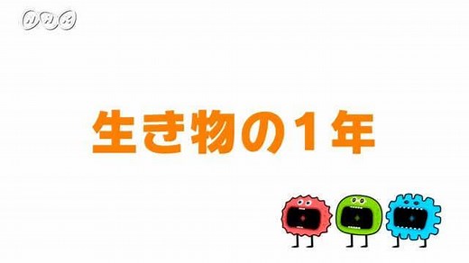 生き物の１年 | ふしぎエンドレス　理科４年 | NHK for School