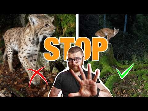 I Wish I Knew Before Starting Camera Trapping