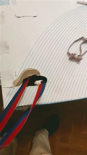 my cat is crazy 🤣#cat #funny #shorts #meme