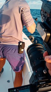 26K views · 426 reactions | Giant wahoo on the kite! #fishing | Landshark Outdoors | Facebook