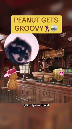 Peanut Gets Groovy: Mid-Convo Dance Clip