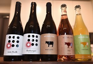 Wine column: Ethically farmed Austro-Hungarian wines delight with mix of taste and value