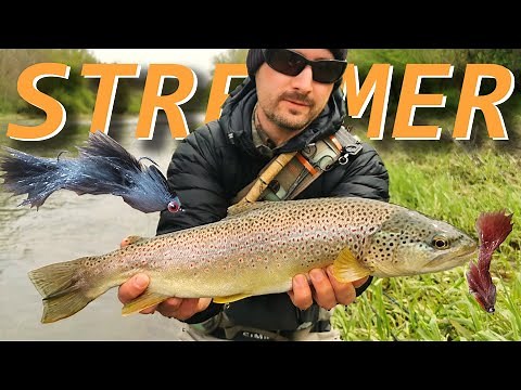 Fliegenfischen auf Forellen mit Streamer