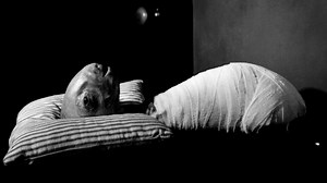 Eraserhead Baby | Know Your Meme