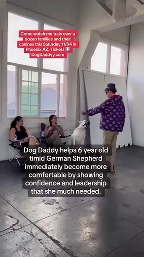 Helping a timid dog gain confidence in less than a minute with proper handling. | The Dog Daddy