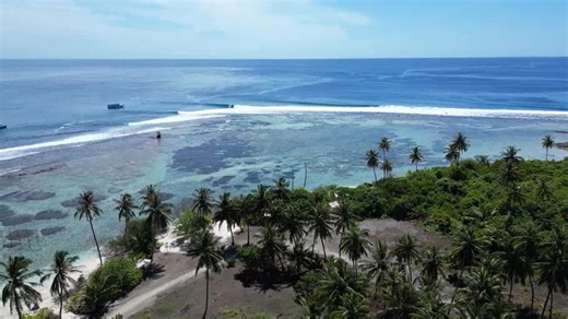 Perfect Wave on Reels