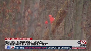 Distrust grows over PA Game Commission's elk license lottery