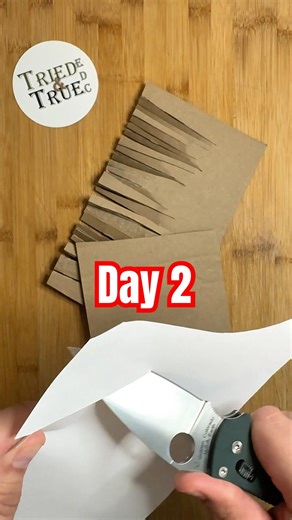 Edge Retention Testing: Manix 2 204P #triedandtrueedc #testing #spydercoknives #knifecommunity