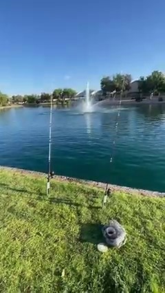 197K views · 2.2K reactions | Nothing Like A Bobber Down! #fishing #catfishing #pond #bobberfishing | Thefishinmagician2.0 | Facebook