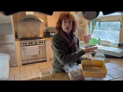 How to Sprout Seeds at Home (Day 1 – Simple & Nourishing)