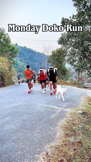 Explore The Himalayan Tiger Training Center in Pokhara