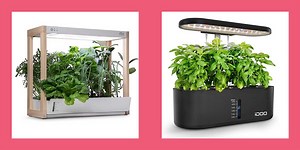 With These Indoor Garden Kits, You Can Grow Your Own Greens From Your Kitchen