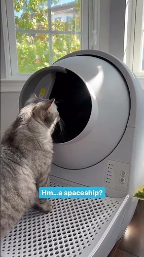 Spaceship toilet for your cat! CATLINK's self cleaning litter box