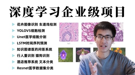 这也太全了！绝对是目前B站最全的深度学习项目实战系列教程！花朵图像识别、车道线检测、医药问答系统、unet医学细胞分割、时间序列预测、推荐系统等一口气学完！干货