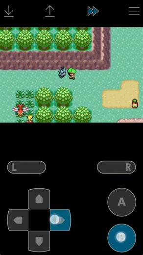 Pokemon emerald rogue Catch a morgrem #pokemonfirered #pokemon