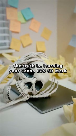 Canon EOS 6D Mark II Photography