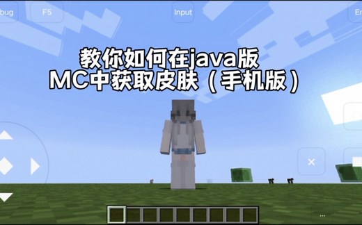 手把手教你如何在MC java版获取皮肤教程