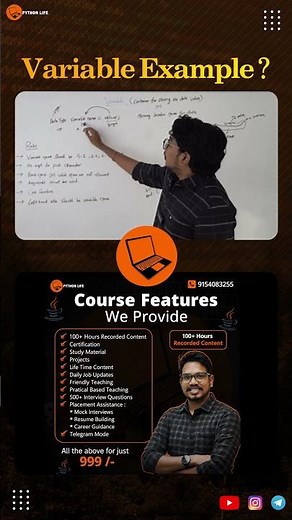 Variables Explained with Examples | PythonLife