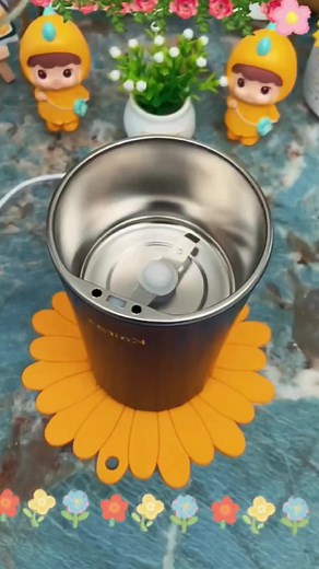 Pulverizer: Transform Your Kitchen Experience