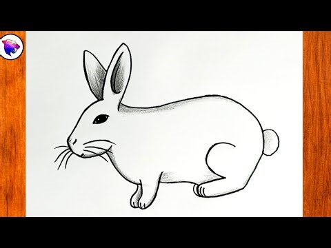 How to Draw a Bunny with Pencil | Step by Step Realistic Drawing Tutorial | Animal Drawings