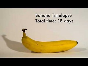 banana time lapse [4K] (18 days)