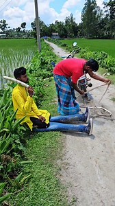996K views · 287 reactions | The boy rode his bike along the road. | সাইফুল ভাই24 | Facebook
