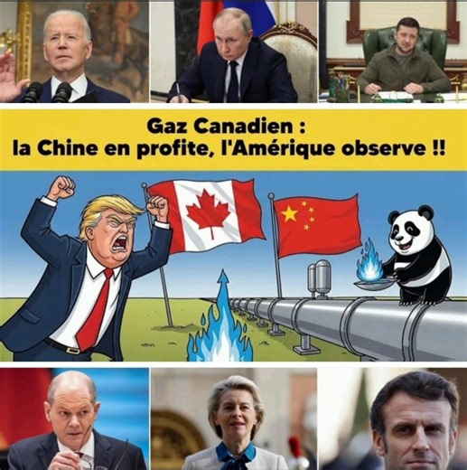 267K views · 6.2K reactions | Le Canada, un géant gazier, se tourne...